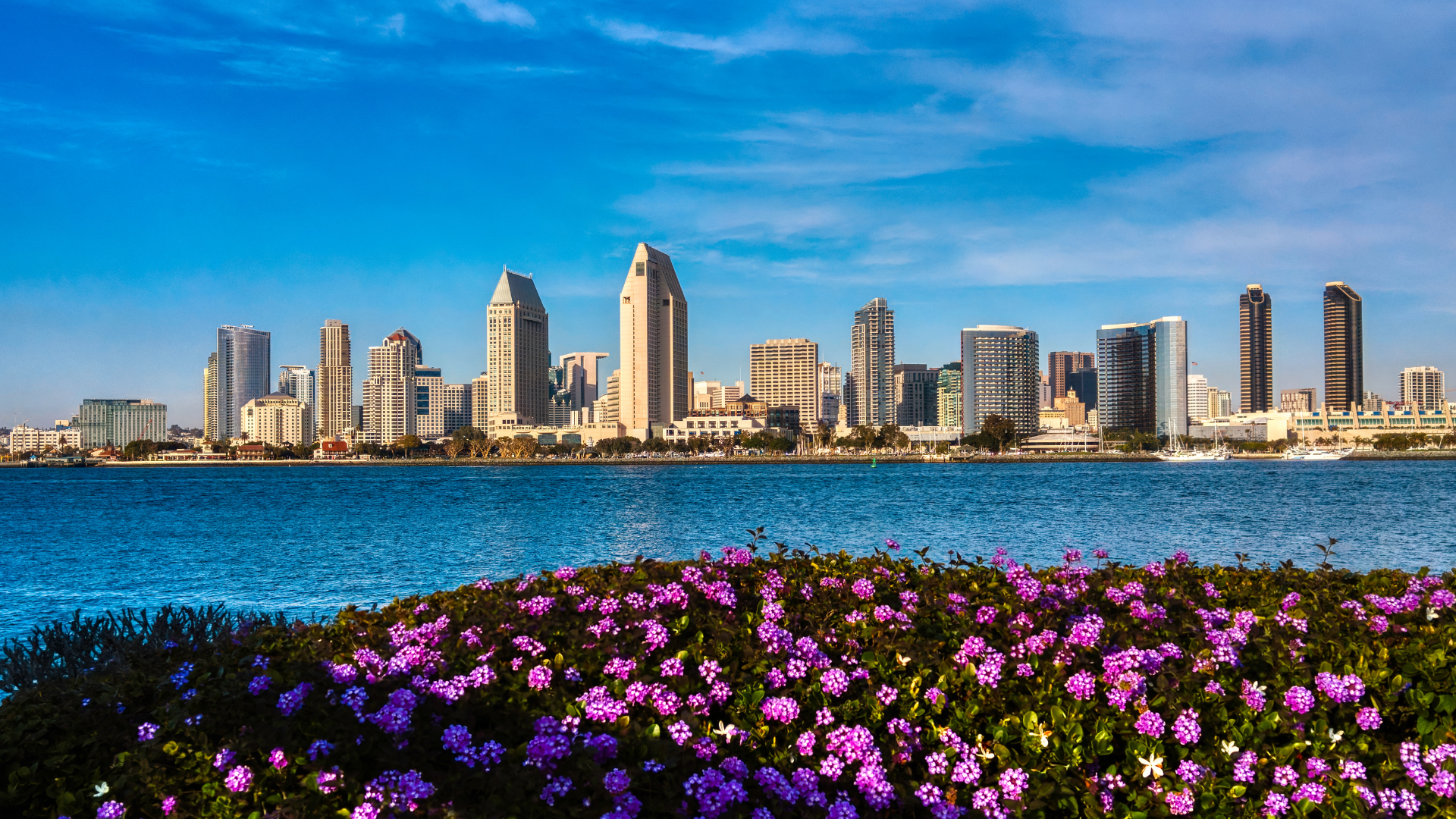 San Diego