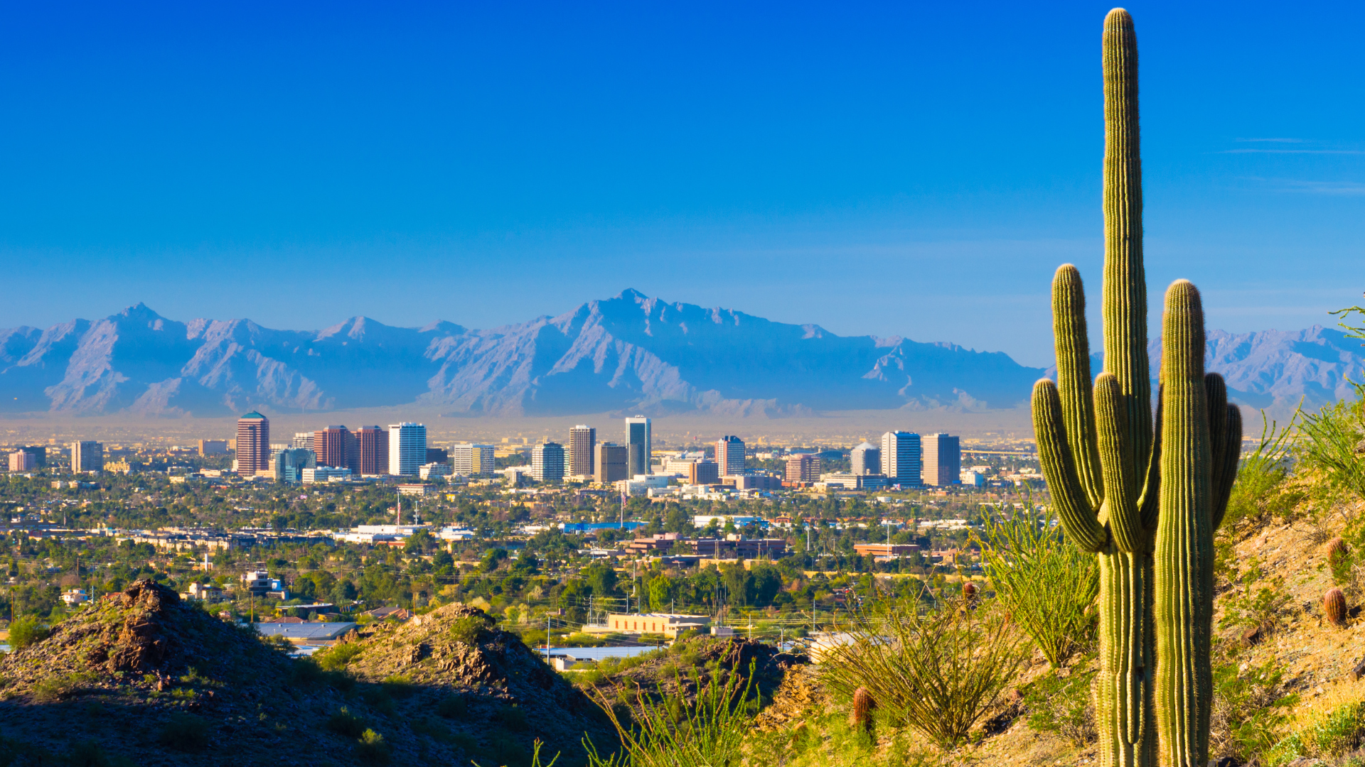 Phoenix