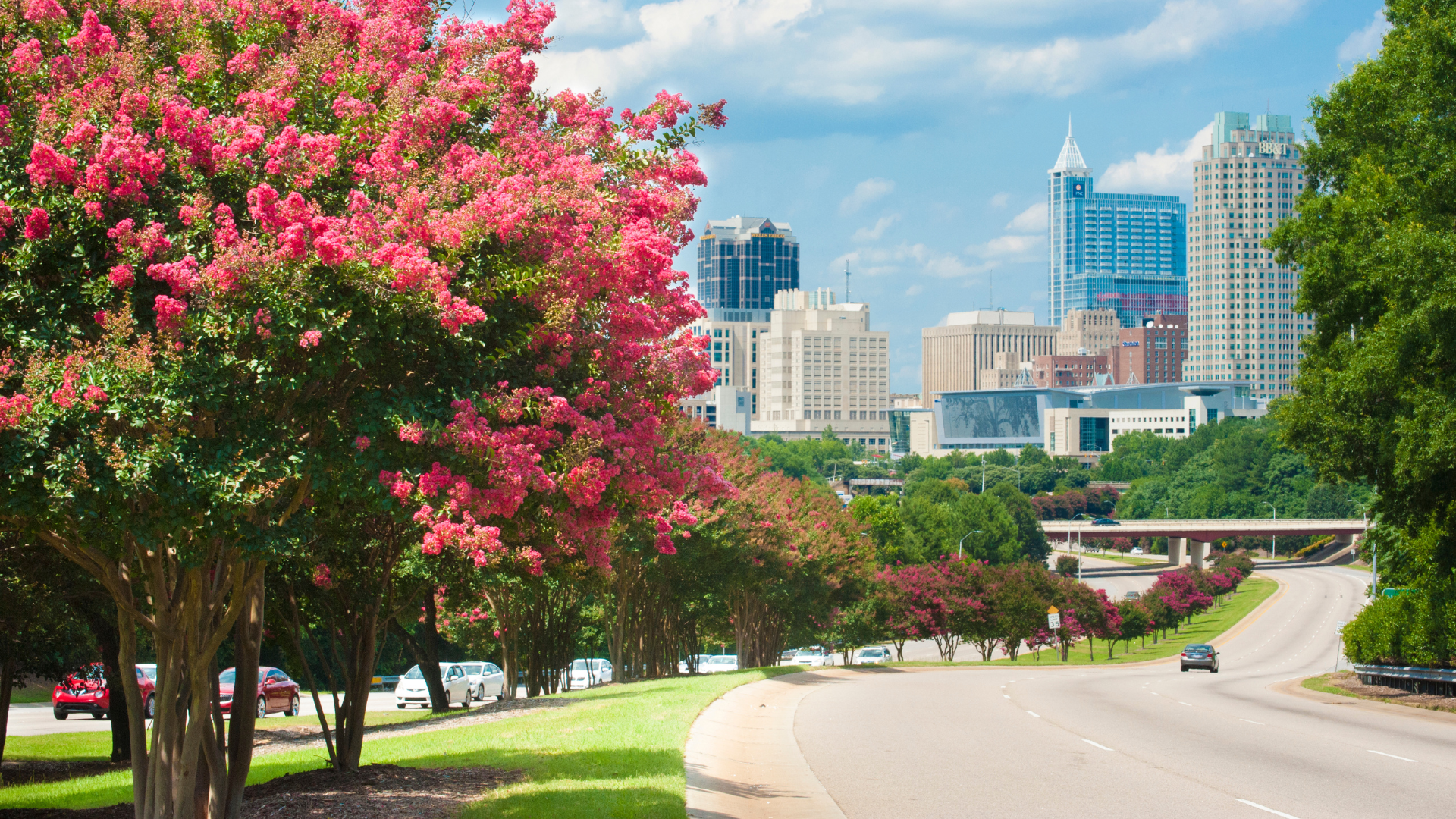 Raleigh